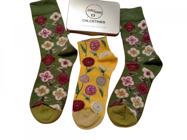Calcetines el jardin de las delicias nº2